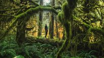 Preserving Nature's Masterpiece: Olympic National Park's Conservation Legacy