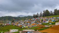 Exploring Ooty: Unveiling Hidden Gems and Exquisite Gardens
