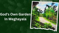 Sustainable Tourism in Meghalaya's Mawlynnong: Tourists Also Contribute to Cleanliness