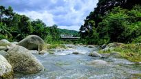 Unwind in Kangra: Himachal Pradesh's Scenic Haven