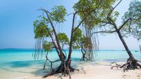 India's Havelock Island where Japanese Airforce made an Airbase!  