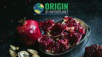 Origin: Indian Pomegranates & their Story
