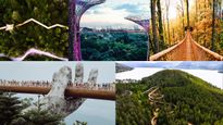 Norway got its first-ever extended Treetop Walkway, know about 15 More around the world