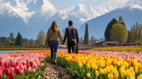 Asia's Largest Tulip Garden: Srinagar's Siraj Bagh Enters World Book of Records