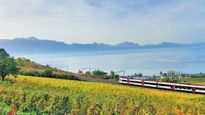 The UNESCO-listed: Journey through Switzerland's iconic vineyards in Lavaux