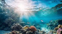 Explore Kiribati Island: The Diving and Snorkeling Paradise