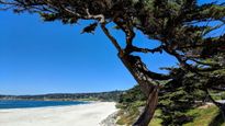 The Charms of Carmel-by-the-Sea: A Perfect Romantic Getaway in California