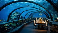 Exploring the extraordinary dining experience at the Ithaa Undersea Restaurant, Maldives