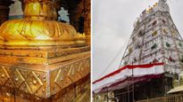 Good News For Newlyweds: Special Darshan Offered by Tirumala Tirupati Devasthanams