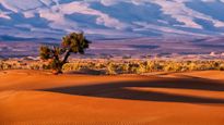 An adventure Bucket List: Exploring the World's Largest Deserts