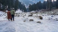 Experience the Winter: Kashmir in the Grip of Snow