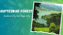 Gupteswar Forest in Odisha Declared as a Biodiversity Heritage Site