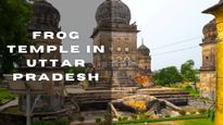 The Frog Temple in UP: A Rare and Fascinating Example of Tantric Architecture