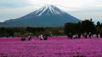Mount Fuji Selfie Spot Blocked: Japan's Response to Unruly Tourists