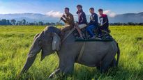 Extended Jeep Safari Offers Last Chance To Explore Kaziranga Before Season Ends