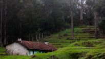 Experience The Best Of Kodaikanal: Adventure And Leisure Awaits