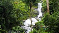 Visit Iruppu Falls For A Soulful Escape Amidst Karnataka's Beauty