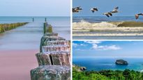 Relax and Rejuvenate: Uncover Tamil Nadu’s Most Serene Beaches 