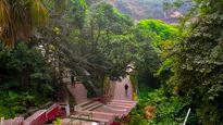 Weekend Getaway from Bangalore to Coorg: Best Activities and Food