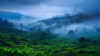 Why September Is The Best Time To Visit Munnar