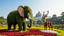 Bengaluru Lalbagh Flower Show 2025: Check Dates, Entry Fee, Timings, Valmiki Theme Highlights 