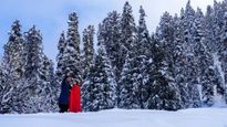 7 Images Capture Tourists' Snowy Adventures in Jammu & Kashmir's Gulmarg and Baramulla 
