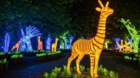 Ahmedabad Inaugurates New Glowing Night Park; Enjoy Free Entry During Flower Show 2025