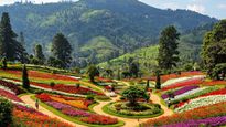 Tamil Nadu to Get Two New Tourism Projects in Ooty and Mamallapuram