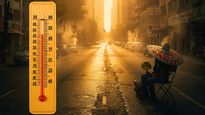 Climate Change Intensifies: India Among Top 5 Asian Countries with Rising Heat