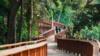 Mumbai’s First Tree Top Walk at Malabar Hill Opens to Visitors; Check Timings and Entry Fees