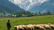 Explore Srinagar, Gulmarg & Pahalgam with IRCTC’s Kashmir Tour Package
