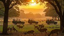Noida's First-Ever Deer Park, Mini-Zoo with Sunset Safari in Biodiversity Park 