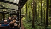 Uttar Pradesh Launches India’s 1st Vistadome Jungle Safari Train; Check Details