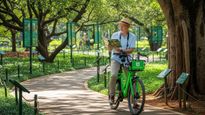 Bengaluru: You Can Ride Through Lalbagh on E-Cycles to Explore Rare Trees This Monsoon