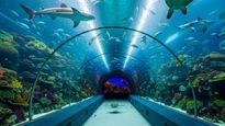 Hyderabad to Have a 4,000 sq. m. Aquarium Dome Where Sharks Swim Above You