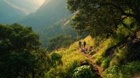 Discover 5 Stunning Trekking Places Near Bangalore for Beginners to Explore