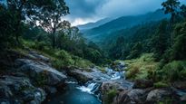 Discover 5 Less-Crowded Hill Stations Near Bangalore for a Peaceful Getaway 