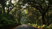 Discover 5 Breathtaking Monsoon Road Trips from Bangalore for a Perfect Weekend Getaway