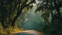 Discover the Bangalore to Wayanad Distance, Route Map, & Travel Time 
