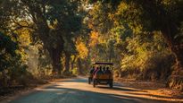 Embark on an Unforgettable Road Trip: Discover 3 Scenic Routes from Bangalore to Wayanad