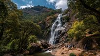 Discover 5 Unexplored Waterfalls Near Bangalore for a Serene Nature Escape