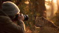 Discover 5 Breathtaking Wildlife Photography Spots Near Bangalore for Stunning Shots