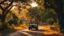 Embark on a Scenic Bangalore to Wayanad Via Bandipur Forest Drive