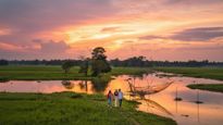 Discover Weather in Majuli: When to Visit Assam's World’s Largest River Island