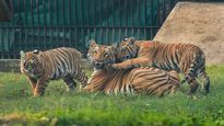 Hyderabad’s Best Child-Friendly Attractions: Kid-Approved Places for a Perfect Family Day Out