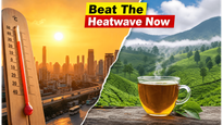 Scorching Heatwave vs. Monsoon Arrival: The Best Weekend Escapes You Need Now