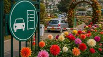 Driving to Ooty Flower Show? Avoid These Common Mistakes to Save Your Weekend