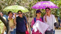 Delhi Weather Alert: Delhi's Temperatures are Likely to Increase, However No Heatwave Predicted