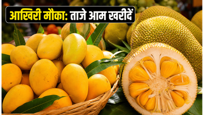 लालबाग मैंगो मेला: खत्म होने में बचे हैं सिर्फ 48 घंटे, आज ही खरीदें ये रसीले फल