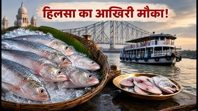 कोलकाता में हिलसा का आखिरी मौका: आज ही चखें मानसून का ये खास स्वाद कोलकाता में हिलसा का आखिरी मौका: आज ही चखें मानसून का ये खास स्वाद